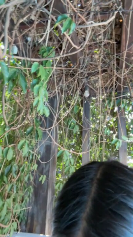 VioletaGrant's Streamate show and profile