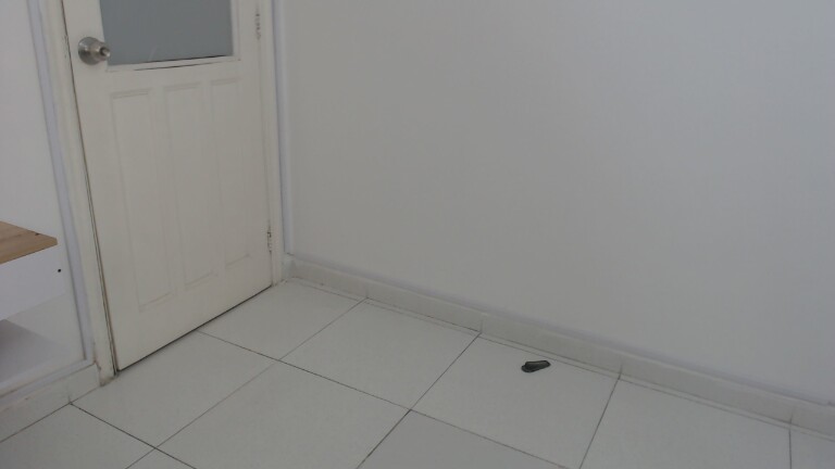 EllieBella's Streamate show and profile